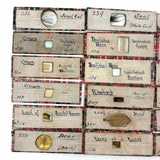 Scarlet Runner, Pith of Elder, Buffalo Horn: Beautiful Set of 18 Victorian Handmade Slides