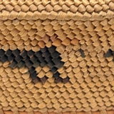 Charming Macah-Nootka Bear Grass Basket with Marching Black Ducks and Plaited Lid