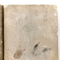 Old Plaster Mold: Lady Victory!