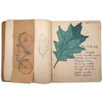 Adeline's 1902 School Notebook with Leaf Drawings, Songs, Poems, and More