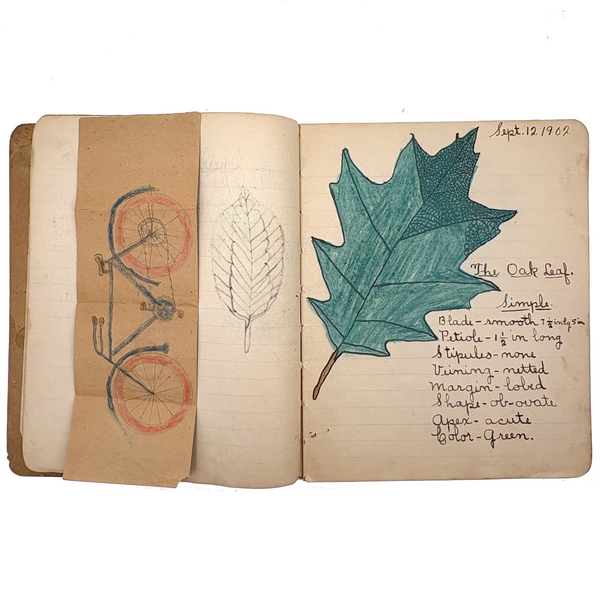 Adeline's 1902 School Notebook with Leaf Drawings, Songs, Poems, and More