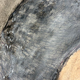 M.C. 5 Cent Jones Watercolor Portrait of His Wife in Red and Blue