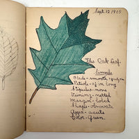 Adeline's 1902 School Notebook with Leaf Drawings, Songs, Poems, and More