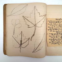 Adeline's 1902 School Notebook with Leaf Drawings, Songs, Poems, and More