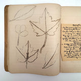 Adeline's 1902 School Notebook with Leaf Drawings, Songs, Poems, and More