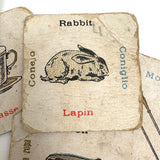 Very Much Loved and Very Charming c. 1920s Language Learning Picture Cards