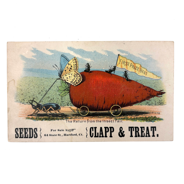Return from the Insect Fair, Very Scarce Clapp and Treat Seeds Trade Card, Hartford CT, 1890s