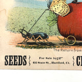 Return from the Insect Fair, Very Scarce Clapp and Treat Seeds Trade Card, Hartford CT, 1890s