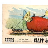 Return from the Insect Fair, Very Scarce Clapp and Treat Seeds Trade Card, Hartford CT, 1890s
