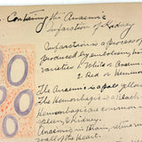 1901 Pathology/Bacteriology Marbled Cover Notebook with Gorgeous Colored Pencil Illustrations Throughout, NYC