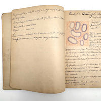 1901 Pathology/Bacteriology Marbled Cover Notebook with Gorgeous Colored Pencil Illustrations Throughout, NYC