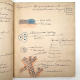 1901 Pathology/Bacteriology Marbled Cover Notebook with Gorgeous Colored Pencil Illustrations Throughout, NYC