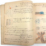 1901 Pathology/Bacteriology Marbled Cover Notebook with Gorgeous Colored Pencil Illustrations Throughout, NYC