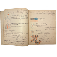 1901 Pathology/Bacteriology Marbled Cover Notebook with Gorgeous Colored Pencil Illustrations Throughout, NYC