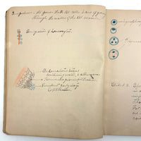 1901 Pathology/Bacteriology Marbled Cover Notebook with Gorgeous Colored Pencil Illustrations Throughout, NYC