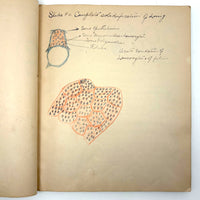1901 Pathology/Bacteriology Marbled Cover Notebook with Gorgeous Colored Pencil Illustrations Throughout, NYC