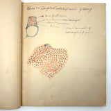 1901 Pathology/Bacteriology Marbled Cover Notebook with Gorgeous Colored Pencil Illustrations Throughout, NYC