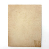 Sweet Old Setter on Spindle Chair, Highy Empathetic Old Silver Print Photo