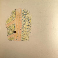 1901 Pathology/Bacteriology Marbled Cover Notebook with Gorgeous Colored Pencil Illustrations Throughout, NYC