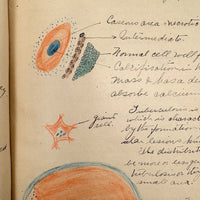1901 Pathology/Bacteriology Marbled Cover Notebook with Gorgeous Colored Pencil Illustrations Throughout, NYC