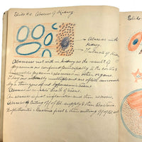 1901 Pathology/Bacteriology Marbled Cover Notebook with Gorgeous Colored Pencil Illustrations Throughout, NYC