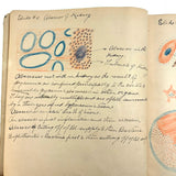 1901 Pathology/Bacteriology Marbled Cover Notebook with Gorgeous Colored Pencil Illustrations Throughout, NYC
