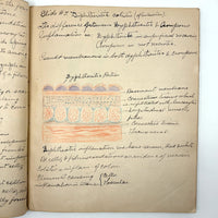 1901 Pathology/Bacteriology Marbled Cover Notebook with Gorgeous Colored Pencil Illustrations Throughout, NYC