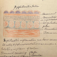 1901 Pathology/Bacteriology Marbled Cover Notebook with Gorgeous Colored Pencil Illustrations Throughout, NYC