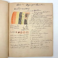 1901 Pathology/Bacteriology Marbled Cover Notebook with Gorgeous Colored Pencil Illustrations Throughout, NYC