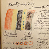 1901 Pathology/Bacteriology Marbled Cover Notebook with Gorgeous Colored Pencil Illustrations Throughout, NYC