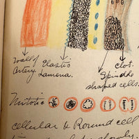 1901 Pathology/Bacteriology Marbled Cover Notebook with Gorgeous Colored Pencil Illustrations Throughout, NYC