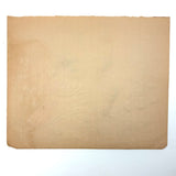 Pink and Yellow Bird #2, Worm in Beak, Pennsylvania Folk Drawing c. 1900