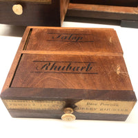 Early 1800s John Moore, Chemist to the King, Double Sided British Apothecary Chest