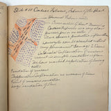 1901 Pathology/Bacteriology Marbled Cover Notebook with Gorgeous Colored Pencil Illustrations Throughout, NYC