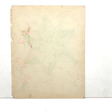 Not Made By Me, Super Satisfying Ink and Watercolor Sketchbook Star