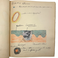 1901 Pathology/Bacteriology Marbled Cover Notebook with Gorgeous Colored Pencil Illustrations Throughout, NYC