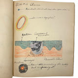 1901 Pathology/Bacteriology Marbled Cover Notebook with Gorgeous Colored Pencil Illustrations Throughout, NYC