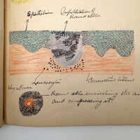 1901 Pathology/Bacteriology Marbled Cover Notebook with Gorgeous Colored Pencil Illustrations Throughout, NYC