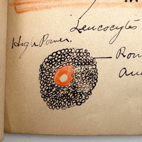 1901 Pathology/Bacteriology Marbled Cover Notebook with Gorgeous Colored Pencil Illustrations Throughout, NYC