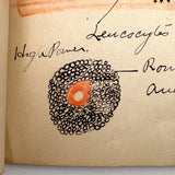1901 Pathology/Bacteriology Marbled Cover Notebook with Gorgeous Colored Pencil Illustrations Throughout, NYC