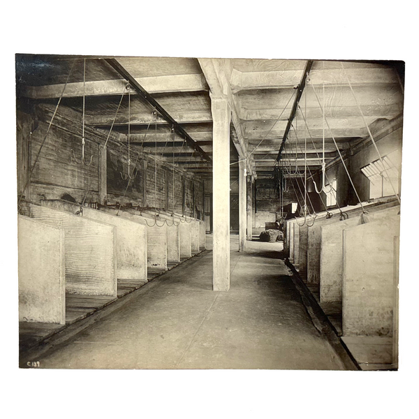 Universal Portland Cement Co. Interior Stable, Chicago--Gorgeous c. 1910s-20s Silver Print Mounted on Linen