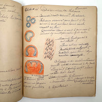 1901 Pathology/Bacteriology Marbled Cover Notebook with Gorgeous Colored Pencil Illustrations Throughout, NYC
