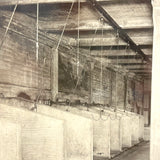 Universal Portland Cement Co. Interior Stable, Chicago--Gorgeous c. 1910s-20s Silver Print Mounted on Linen