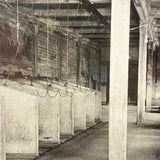 Universal Portland Cement Co. Interior Stable, Chicago--Gorgeous c. 1910s-20s Silver Print Mounted on Linen
