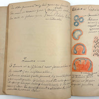 1901 Pathology/Bacteriology Marbled Cover Notebook with Gorgeous Colored Pencil Illustrations Throughout, NYC