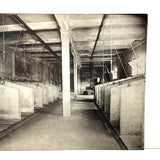 Universal Portland Cement Co. Interior Stable, Chicago--Gorgeous c. 1910s-20s Silver Print Mounted on Linen