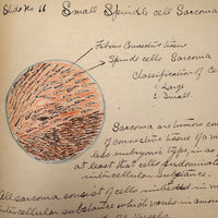 1901 Pathology/Bacteriology Marbled Cover Notebook with Gorgeous Colored Pencil Illustrations Throughout, NYC