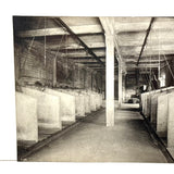 Universal Portland Cement Co. Interior Stable, Chicago--Gorgeous c. 1910s-20s Silver Print Mounted on Linen