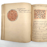 1901 Pathology/Bacteriology Marbled Cover Notebook with Gorgeous Colored Pencil Illustrations Throughout, NYC