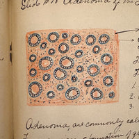 1901 Pathology/Bacteriology Marbled Cover Notebook with Gorgeous Colored Pencil Illustrations Throughout, NYC